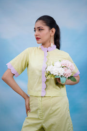 Scallop Sorbet Set - Lemon Yellow